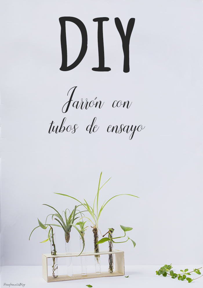 DIY jarrón con tubos de ensayo