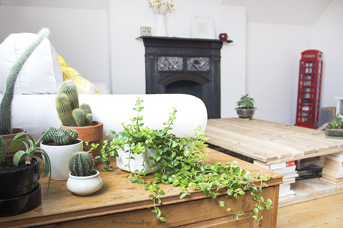 Hometour: cómo decorar una casa de alquiler