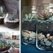 Plantas + Cristal: acierto seguro